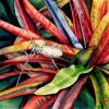 Le grand coleoptere