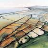 Marais salants