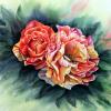 Roses mordorees