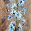 Delphinium