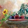 Figues et Lierre