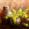 Poteries et mimosas