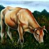Vache Parthenaise