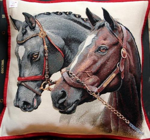 Coussin 21