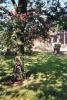 Jardin 1